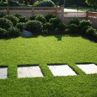 Lawn aeration image 2